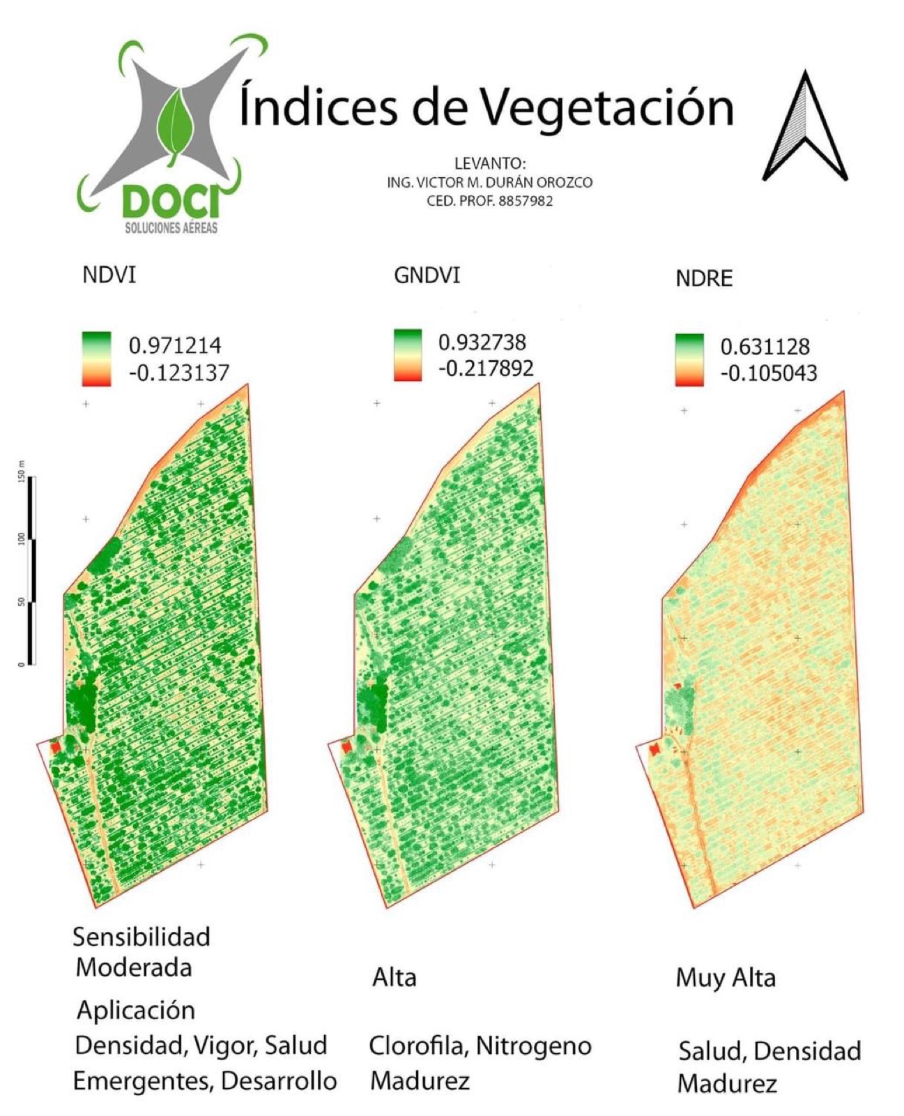Diagnóstico territorial — índices de vegetación